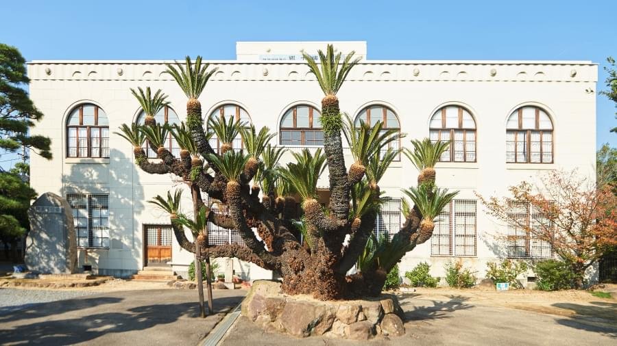 🏛️ 카마다 공제회 향토 박물관 (카마다 쿄사이카이 쿄도 하쿠부츠칸) 이미지 6